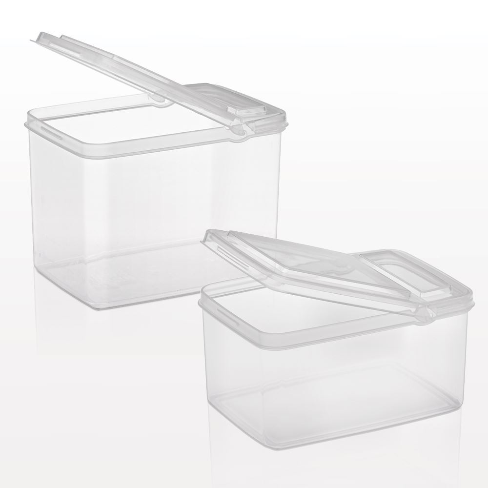 Large Rectangle Container with Flip Top Lid, Clear