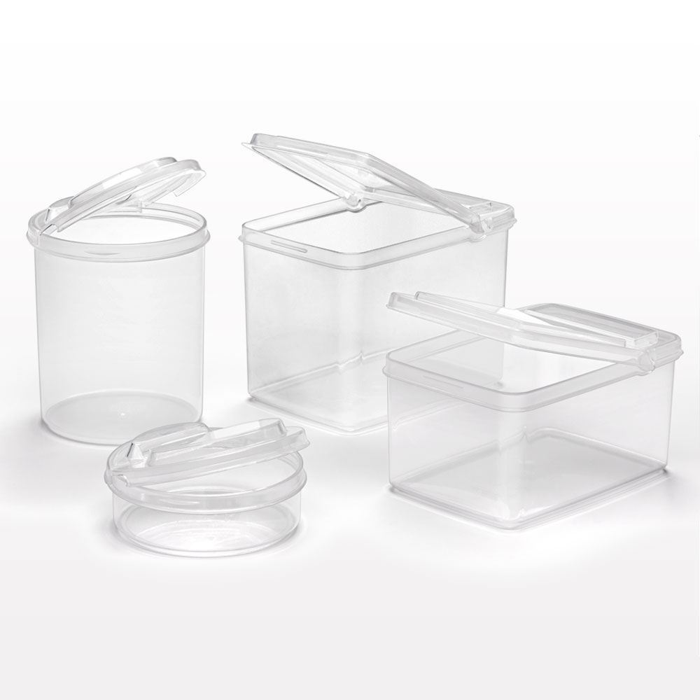 Large Rectangle Container with Flip Top Lid, Clear