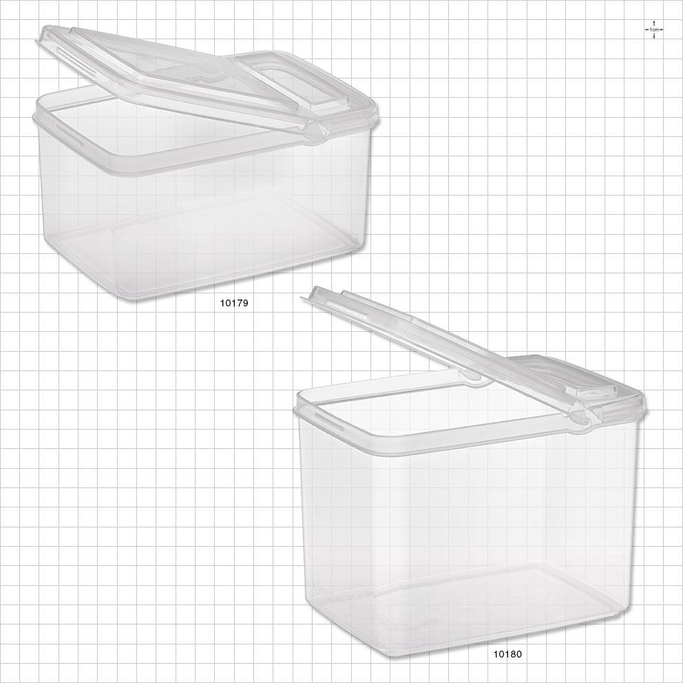 Large Rectangle Container with Flip Top Lid, Clear